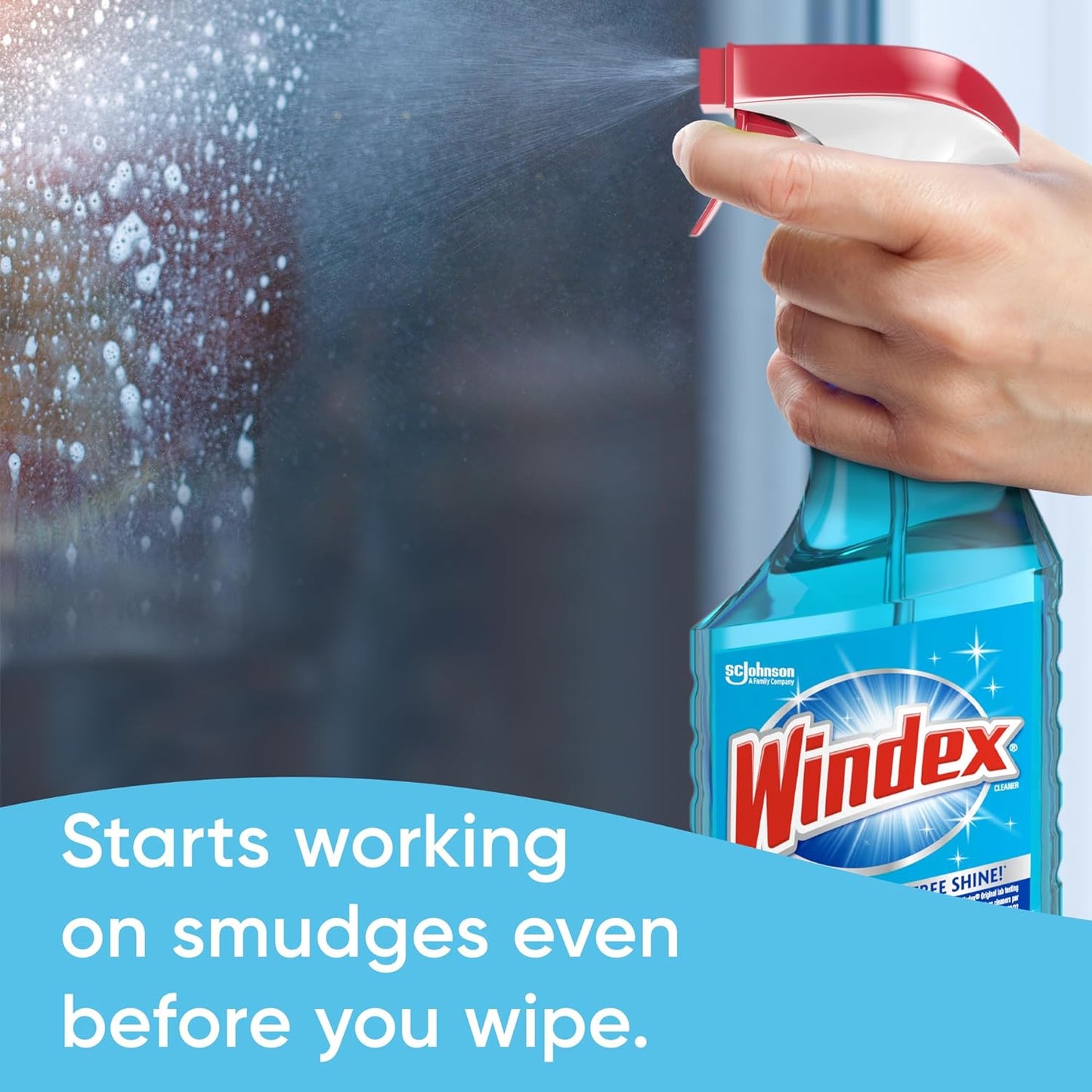 Windex 23 oz Liquid, Floral Blue, Glass Cleaner, Ammonia D