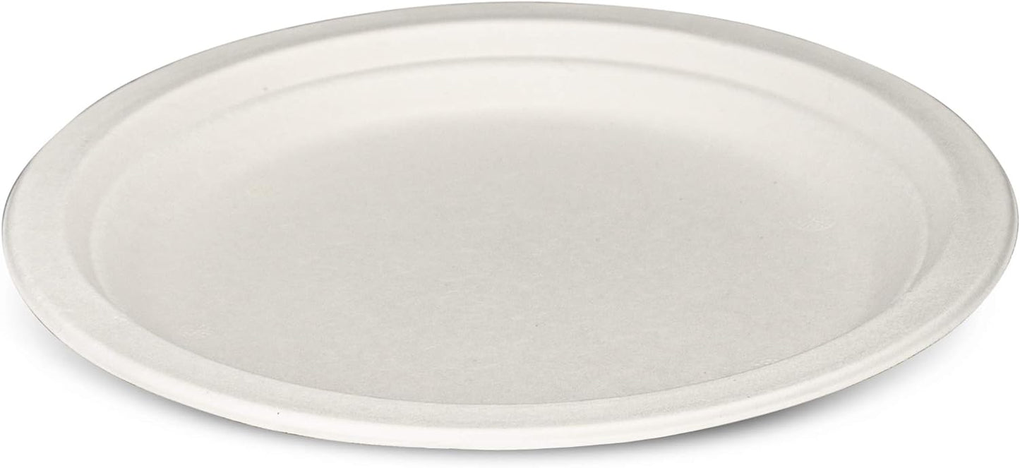 Paper Plates - 9" Compostable (50 ct)